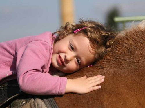 08_pferd_4