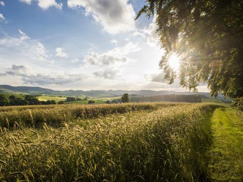 Landschaftsfoto_Sauerland 5