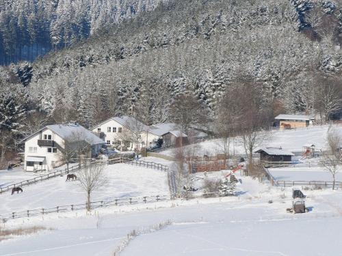 duempelhofwinter