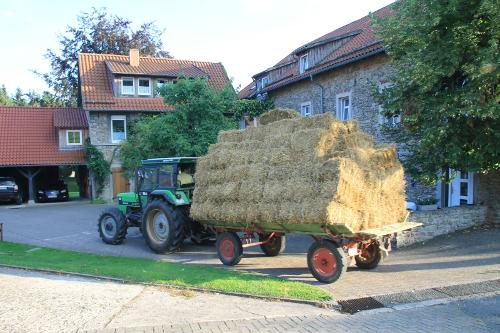 trecker_stroh_2