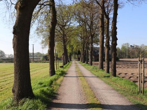 allee