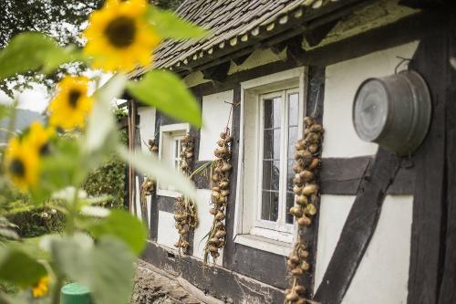 Impressionen