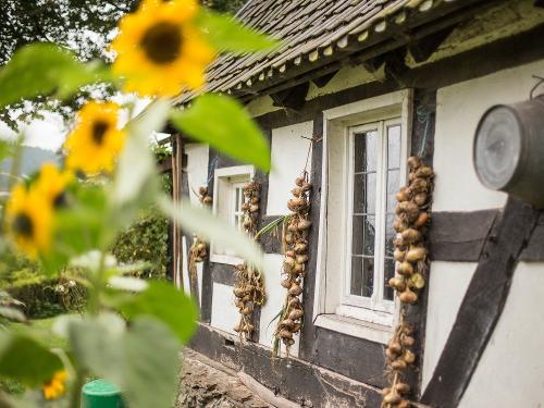 Impressionen Impressionen