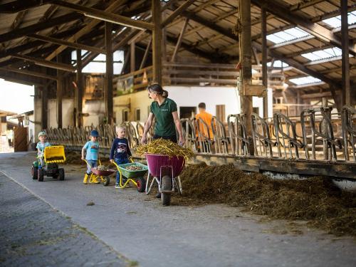 Hilfe ist immer das Beste Hilfe ist immer das Beste