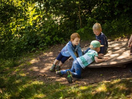 Spielplatz im Wald Spielplatz im Wald