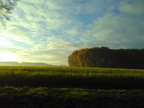 Morgenstimmung