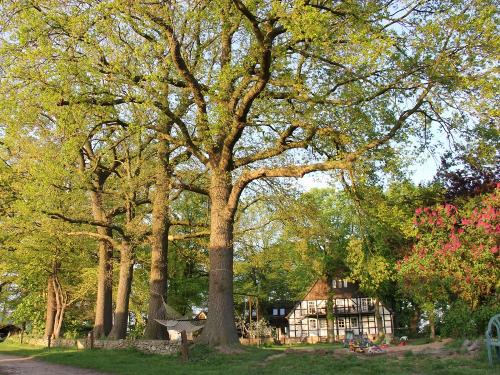 Der Garten