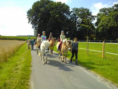 Rumlerhof Tiere  2