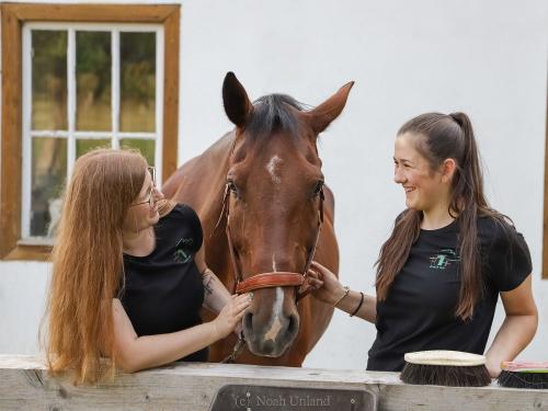 Rumlerhof Tiere  7