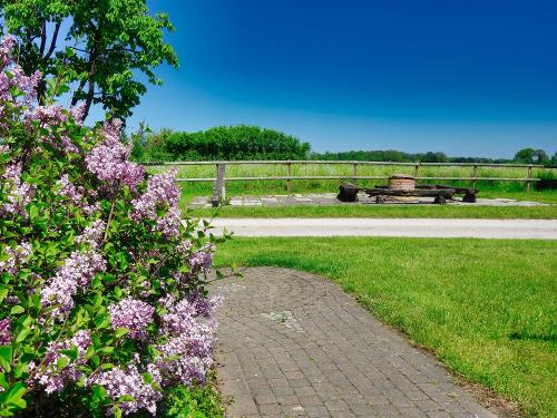 Grillplatz_1 Grillplatz_1