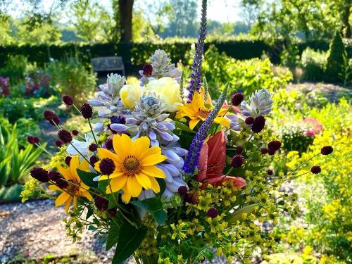 Blumen aus dem Garten