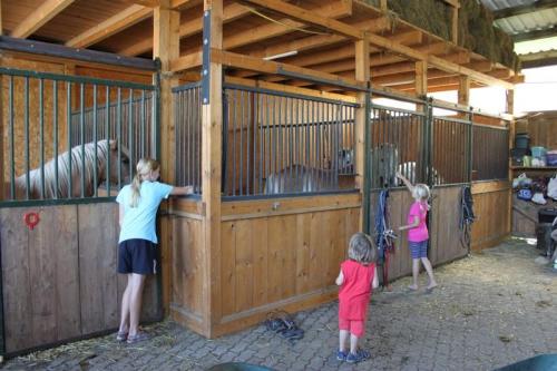 Kinder beim Pferdestall