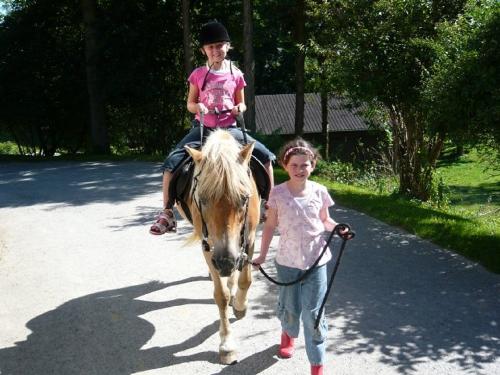Reiten