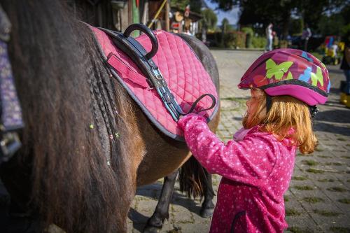 ponyreitenfrjedesalter