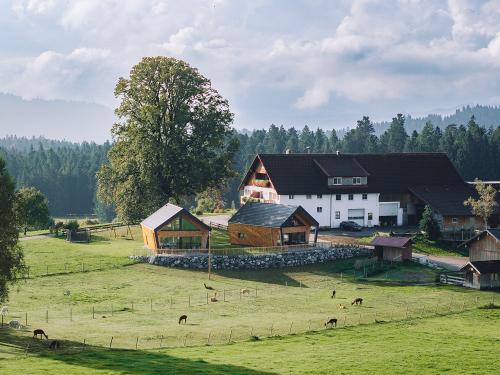 unser Hof mit den Chalets