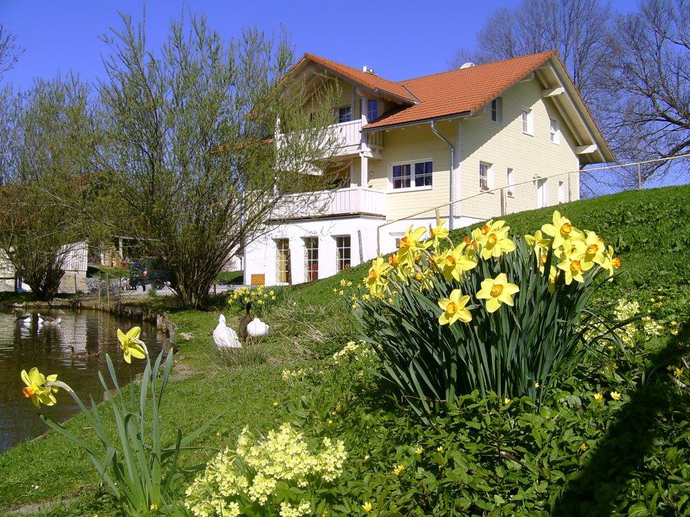 Ferienhof Rimmel im Frühling