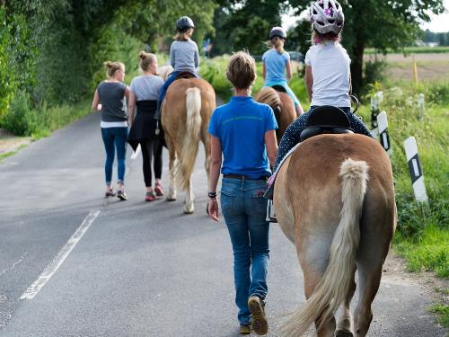 Reiten