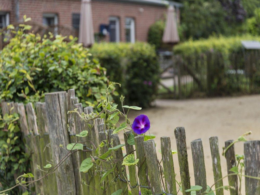 Außenansicht Außenansicht