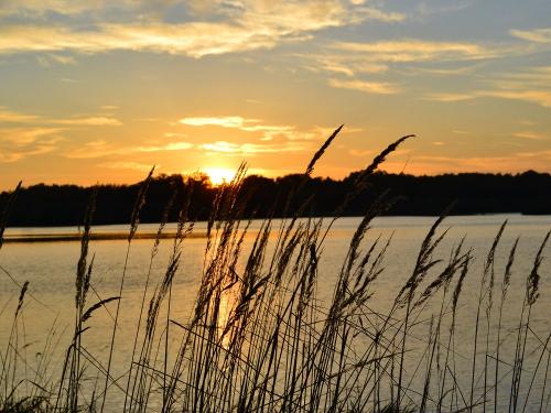 Seenlandschaft