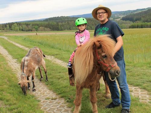 Pony reiten
