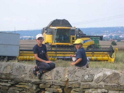 landwirtschaft