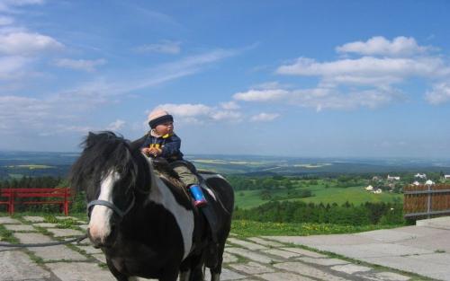 Ponyreiten