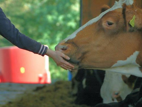 Landwirtschaft erleben
