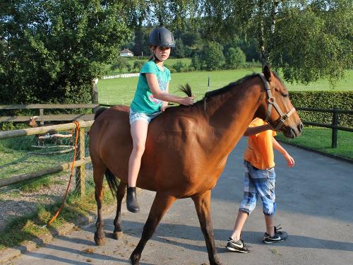 Geführtes Reiten