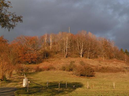 Wachtkueppel im Herbst