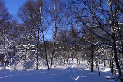 Rotes Moor im Winter