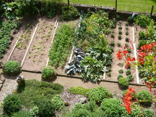 Unser Garten