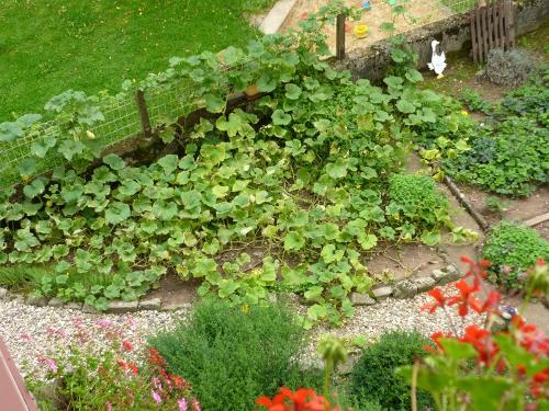 Blick in den Garten