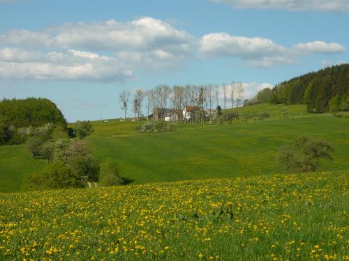 Blick von Elters