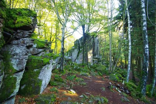 Steinwand Rhoen
