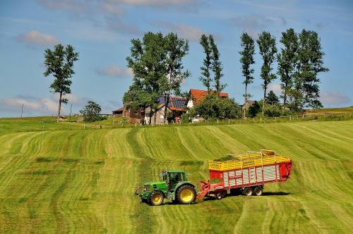 Silage Ernte