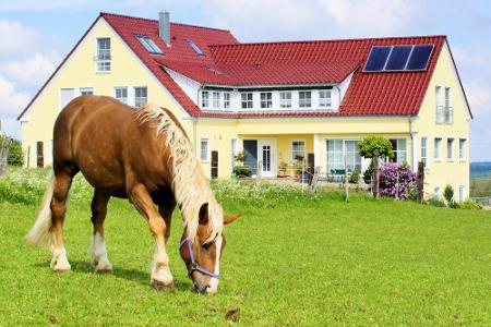 Härtsfeldhof Reiterferien Urlaub Ferienwohnung