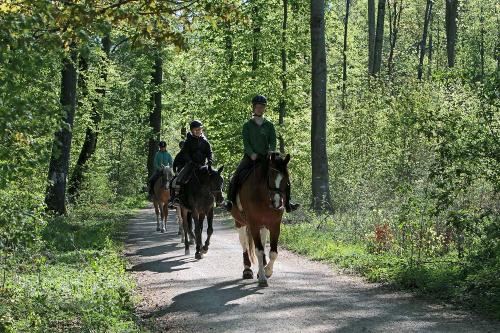 Härtsfeldhof Reiterferien Urlaub Ausritt