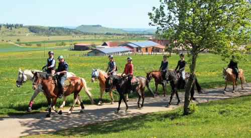 Härtsfeldhof Reiterferien Urlaub Ausritt