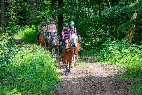 Reitanlage Härtsfeldhof Ausritt
