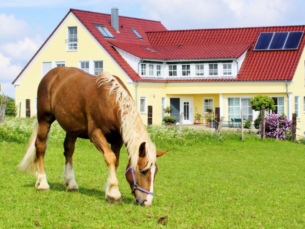 Härtsfeldhof Reiterferien Urlaub Ferienwohnung