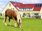 Härtsfeldhof Reiterferien Urlaub Ferienwohnung