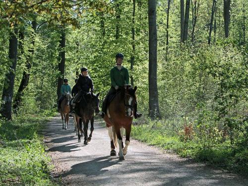 Härtsfeldhof Reiterferien Urlaub Ausritt