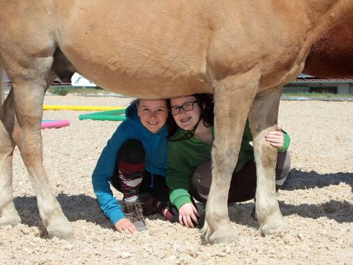 Härtsfeldhof Reiterferien Urlaub