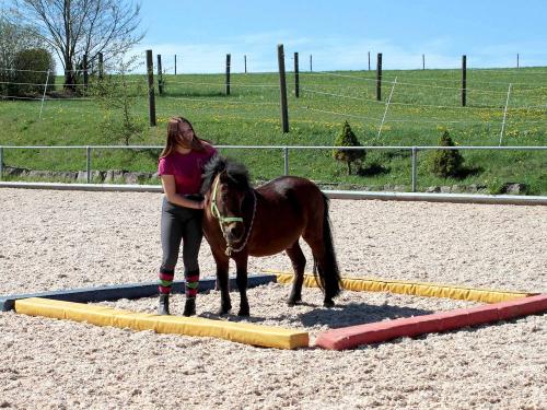 Härtsfeldhof Reiterferien Urlaub Bodenarbeit