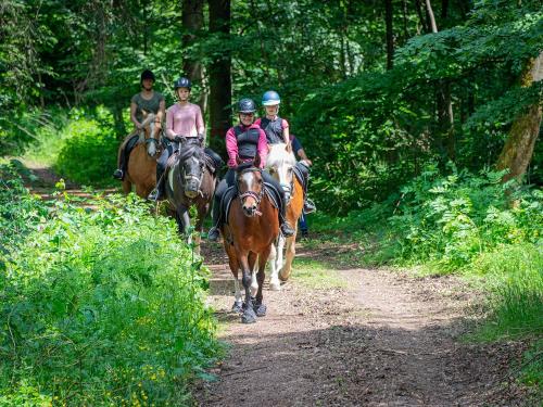 Reitanlage Härtsfeldhof Ausritt