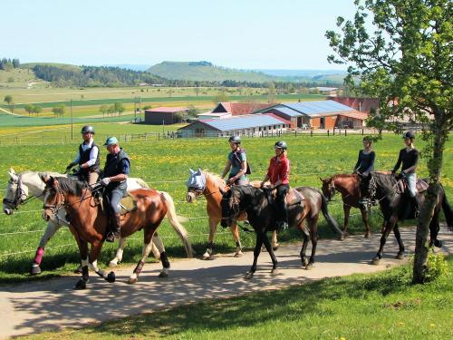 Härtsfeldhof Reiterferien Urlaub Ausritt