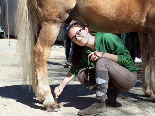 Härtsfeldhof Reiterferien Urlaub