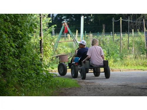 Auch für die, die sich noch nicht auf s Pferd trauen...