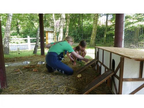 Kaninchen und Meerschweinchen
