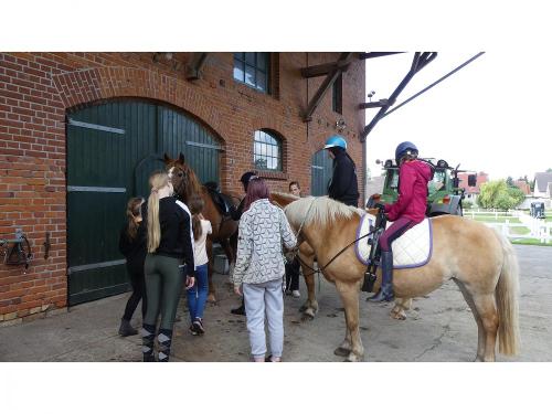 Reiten und Ponyführerschein